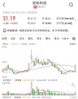 双枪科技拟新设全资子公司双枪实业，股价强势涨停